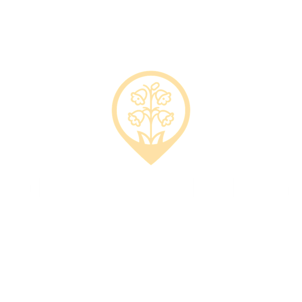 First Spring Local SEO logo